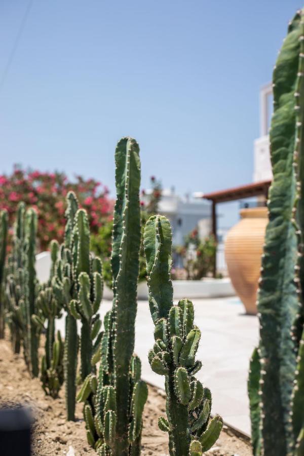 Nόka Suite Apartments Faliraki Esterno foto